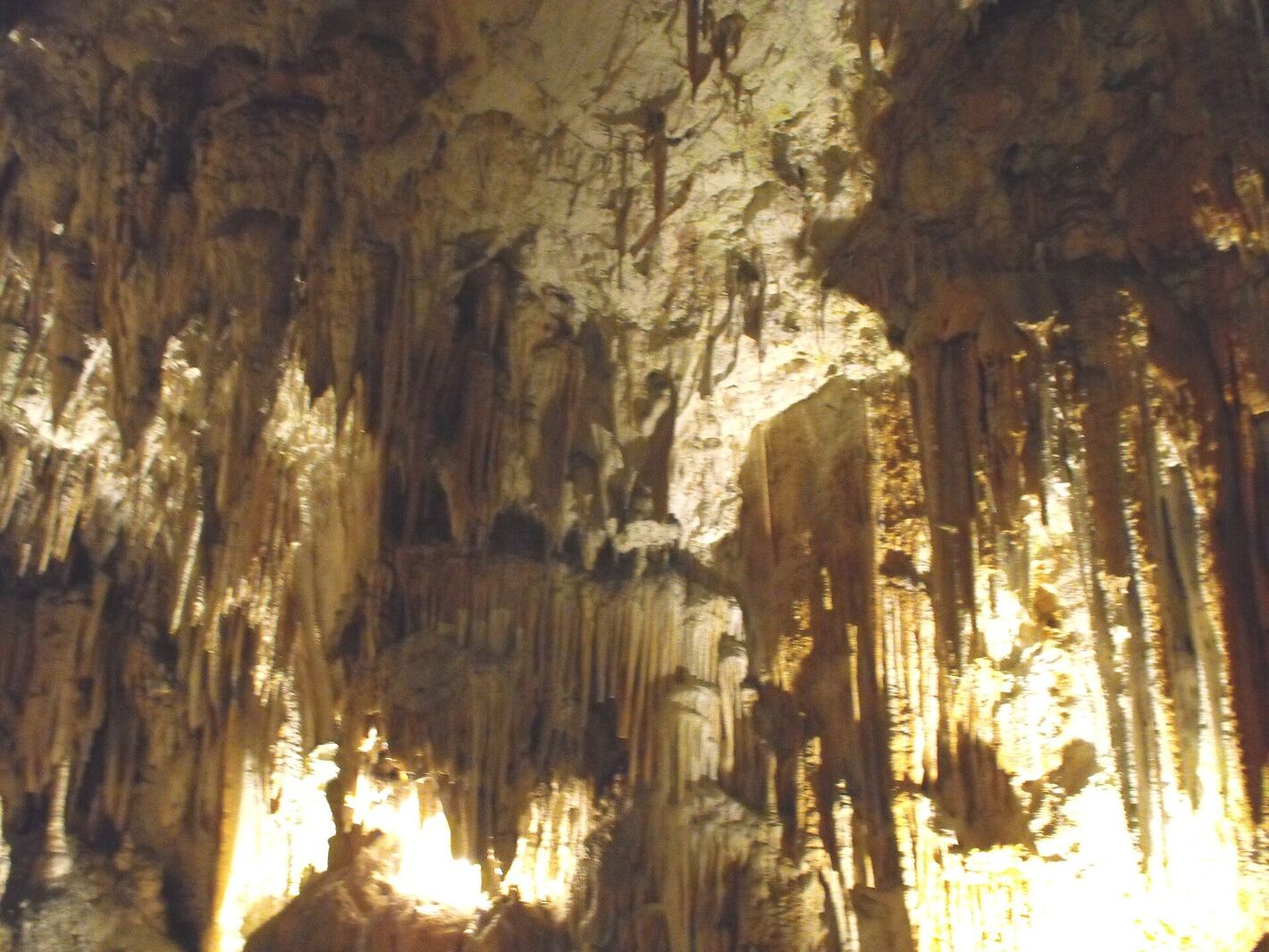 Stalactite and stalagmite formations inside Postojna Cave, Slovenia