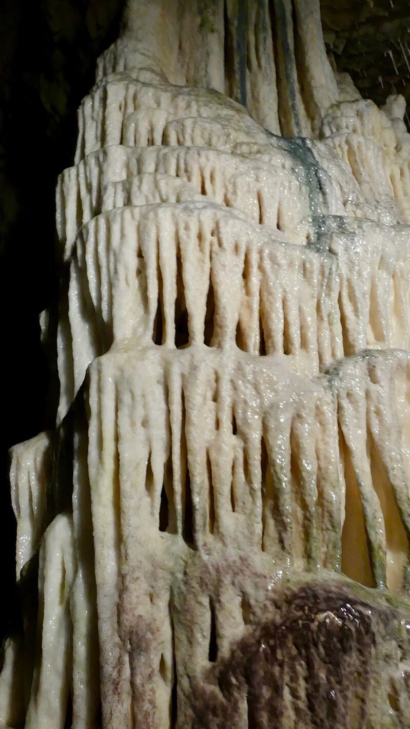 A passage inside Postojna Cave lined with stalactites